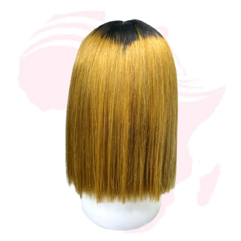 Vietnam Bone Straight Human Hair Bob Wig – 2×6 Closure, 10 Inches