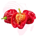 Fresh African Hot Pepper Pods – Authentic African Spice