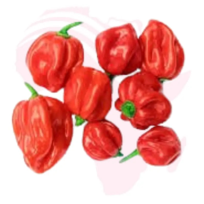 Fresh African Hot Pepper Pods – Authentic African Spice