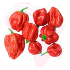 Fresh African Hot Pepper Pods – Authentic African Spice