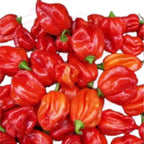 Fresh African Hot Pepper Pods – Authentic African Spice