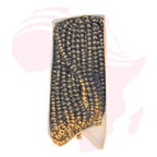 Gina Collection Spring Twist Crochet Braiding Hair – Soft Natural Curls | Lightweight Protective Style