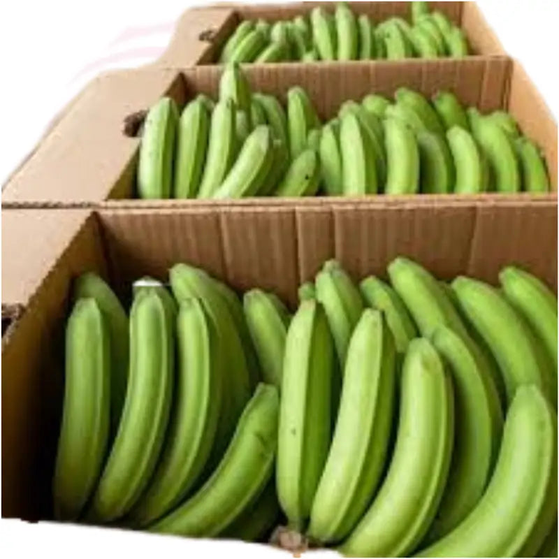 Fresh Ugandan Matoke (Cooking Bananas) – 1 kg | Authentic East African Highland Bananas