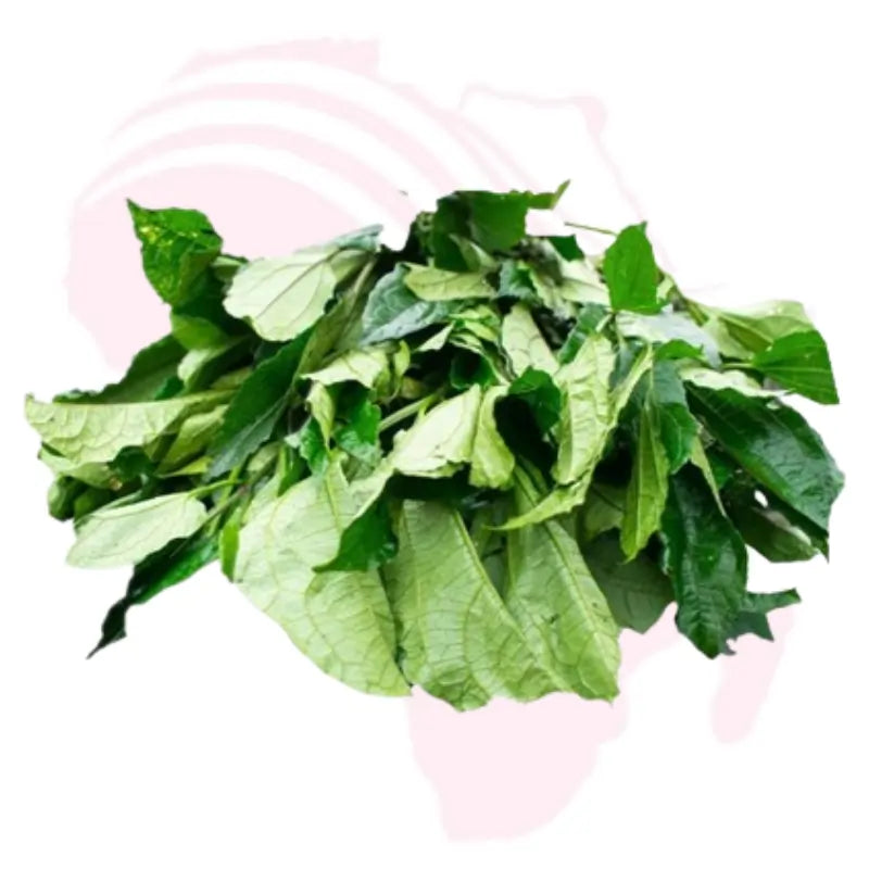 Fresh Nigerian Ugu Leaf (Fluted Pumpkin Leaf) – Organic African Vegetable | Natural & Nutritious 170g pack
