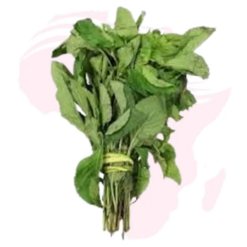 Fresh Nigerian Scent Leaf (Efirin) – Organic African Basil | Natural Herbal Leaf for Cooking & Health 70g pack