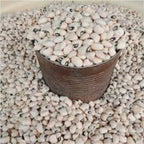 Premium Nigeria White Beans – High Protein & Fiber-Rich Natural Legume