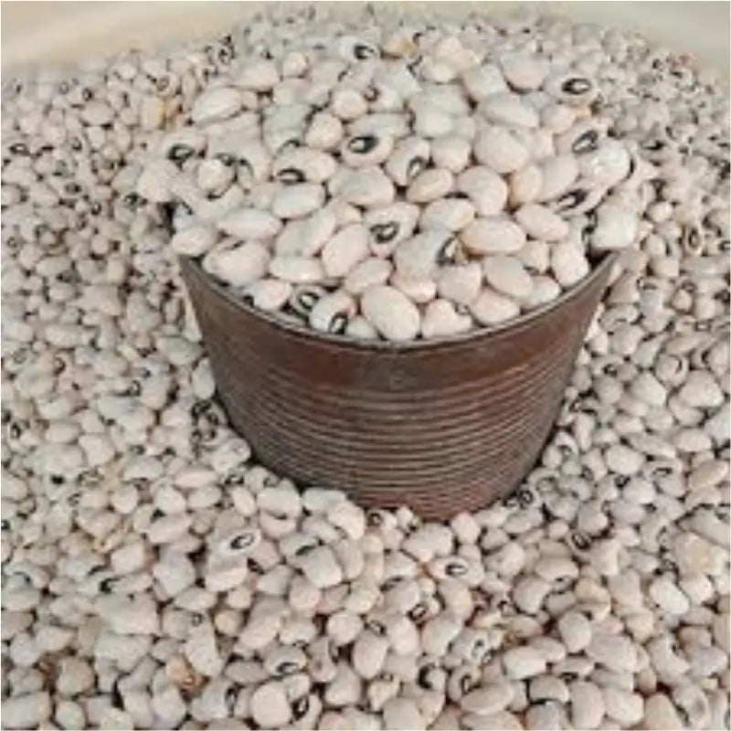 Premium Nigeria White Beans – High Protein & Fiber-Rich Natural Legume